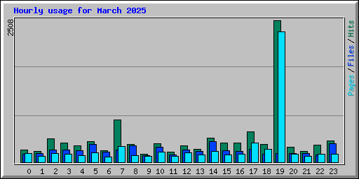 Hourly usage for March 2025