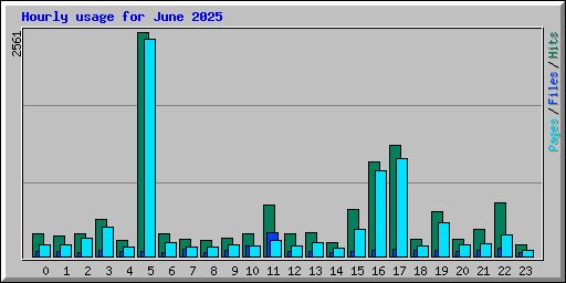 Hourly usage for June 2025