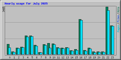 Hourly usage for July 2025