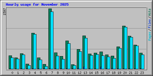 Hourly usage for November 2025