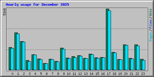 Hourly usage for December 2025
