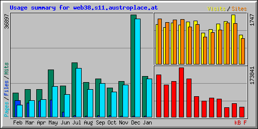 Usage summary for web38.s11.austroplace.at